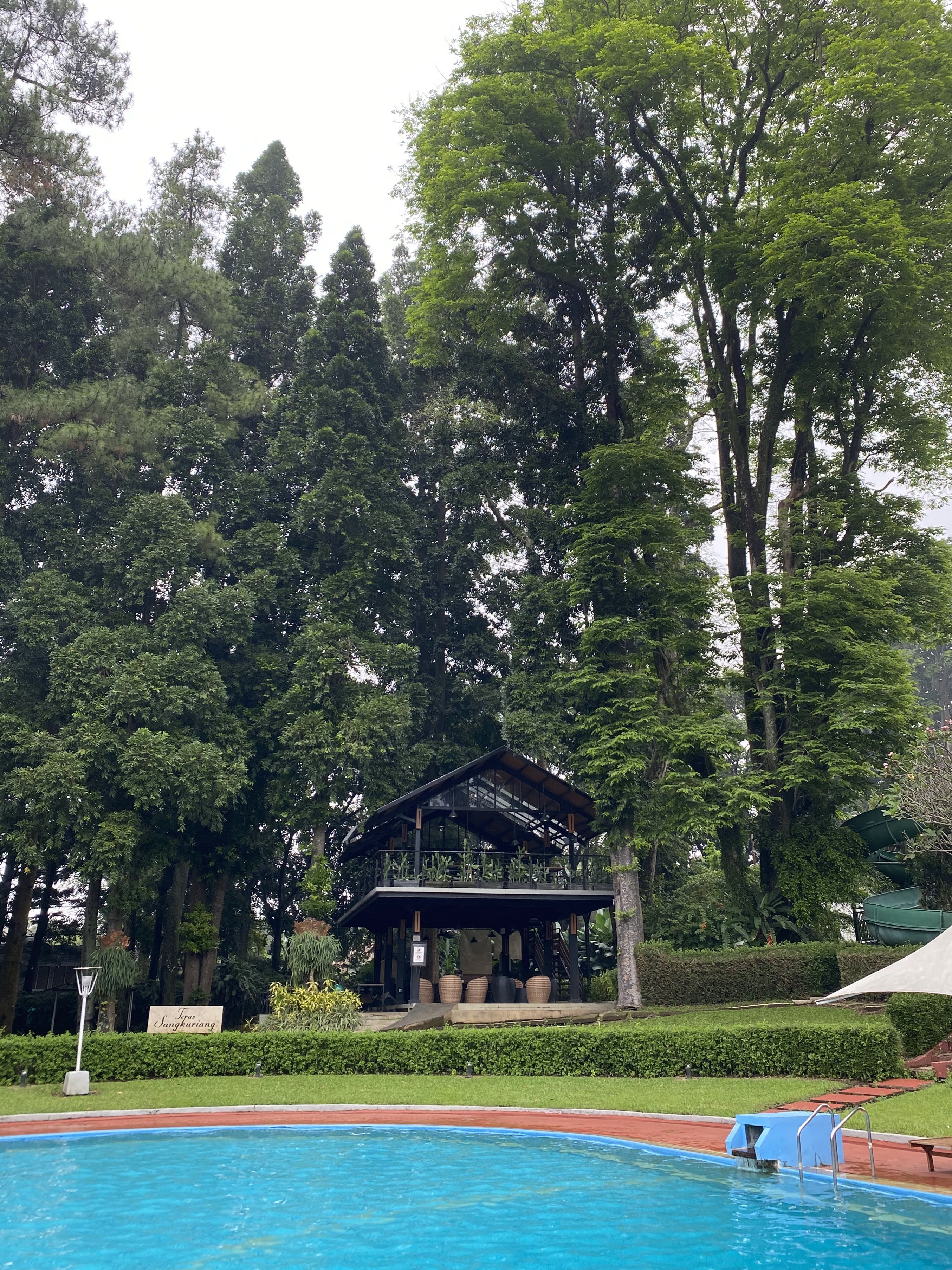cute cottage and trees